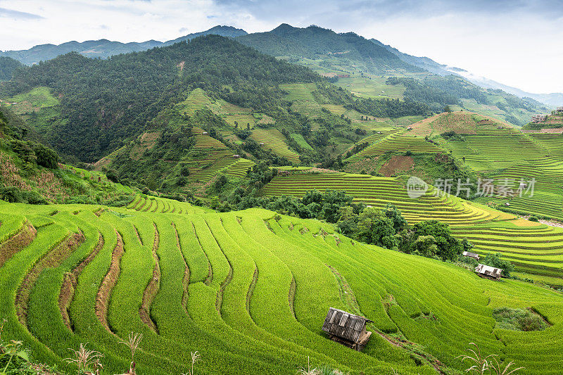 美丽的风景，绿色的稻田准备在越南西北部的梯田日落山在木仓寨，Yen Bai，越南